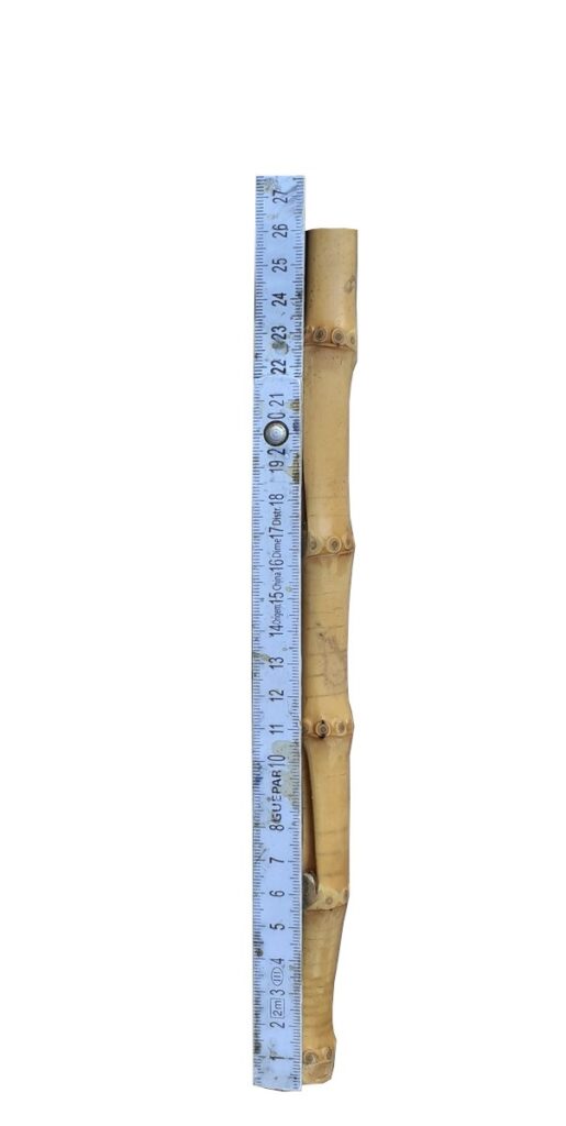 Par de Hasteas 26 cm de Raiz de Bambu Natural (Com furos)