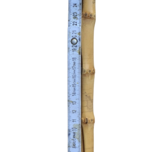 10 und de Hasteas 32 cm de Raiz de Bambu Natural