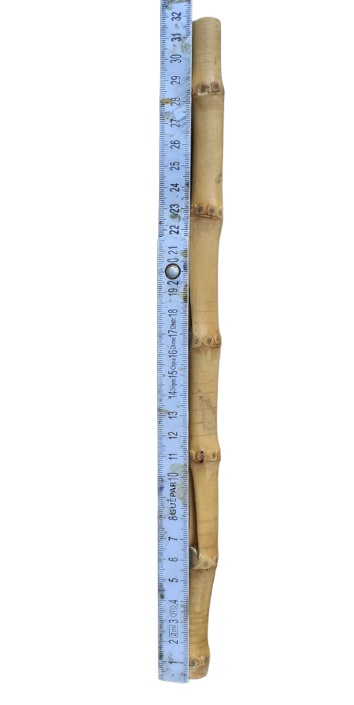 10 und de Hasteas 32 cm de Raiz de Bambu Natural