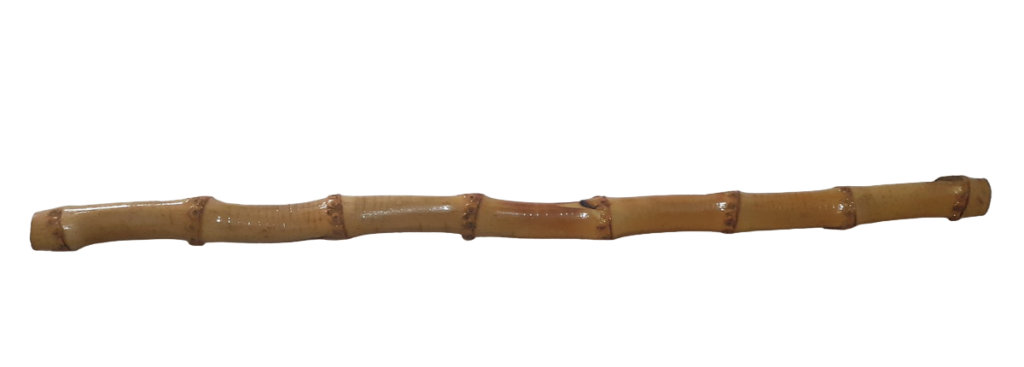 100 Und. de Hasteas 40 cm de Raiz de Bambu Natural