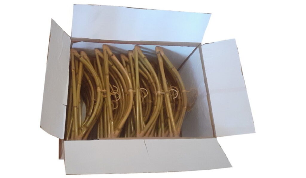Cabides de Bambu Natural 100 und.