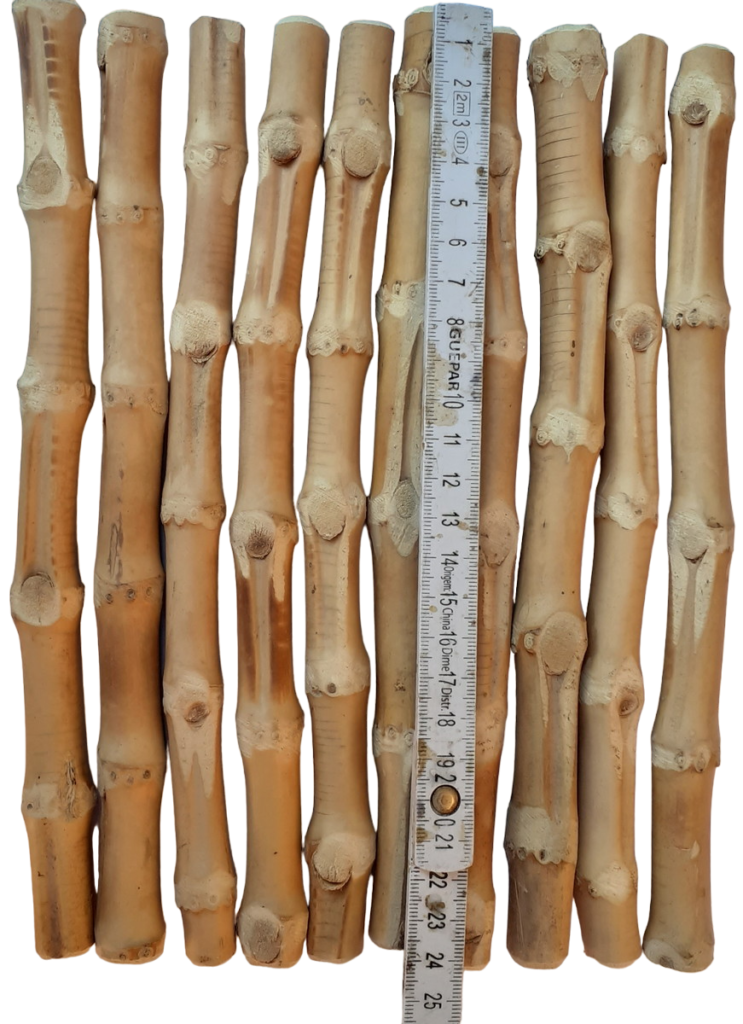 Kit c/ 10 und de Hasteas de Raiz de Bambu Natural Para Bolsa 24 cm